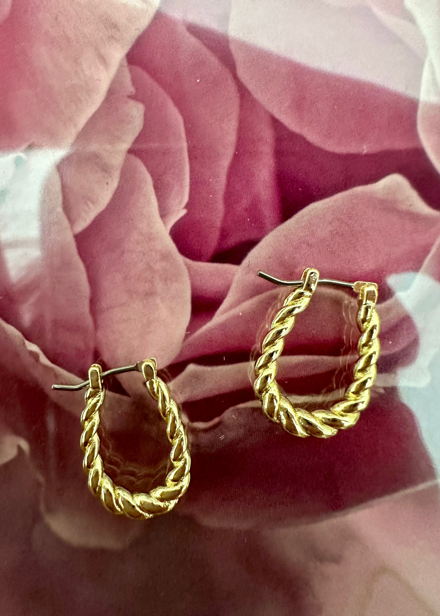 Braided hoops