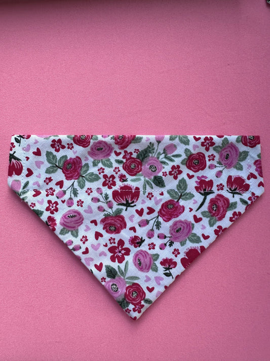 Slip on dog bandanas