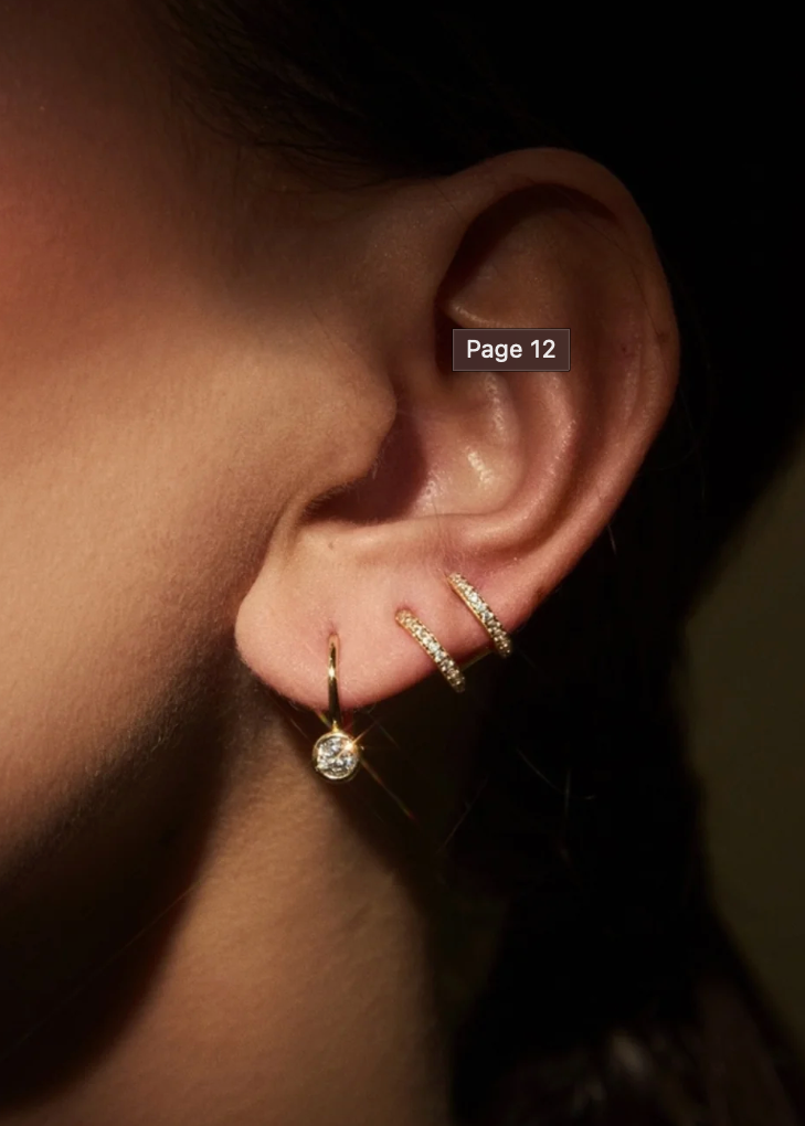 Delaney Huggy Earring